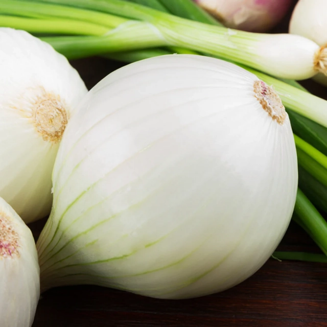 White_Onion